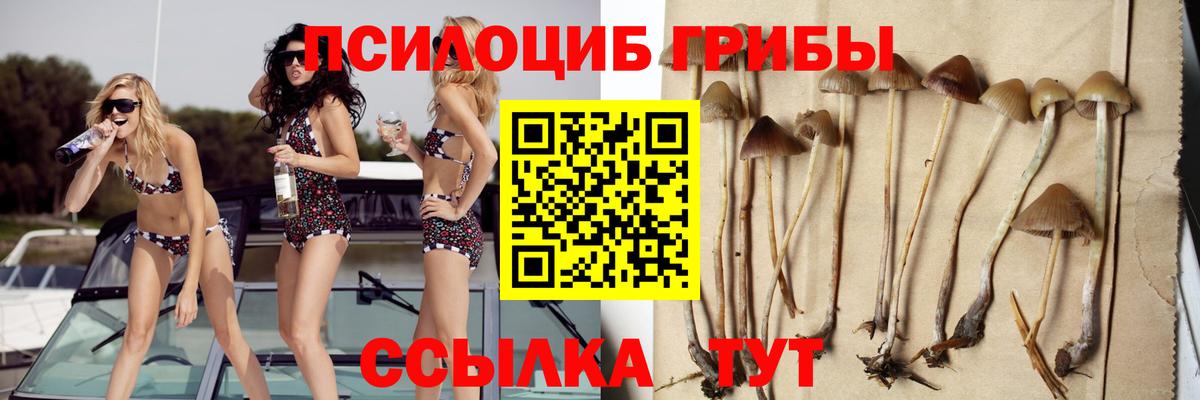 Гулькевичи  Псилоцибиновые грибы ЛСД  Вход с VPN 