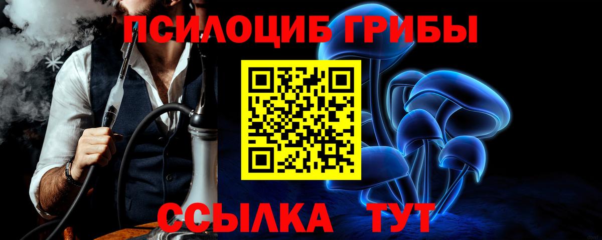 Галлюциногенные грибы прущие грибы Гулькевичи